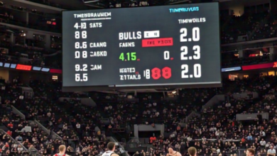 Chicago Bulls vs Timberwolves Match Player Stats